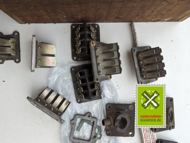 PXL_20240518_155247912